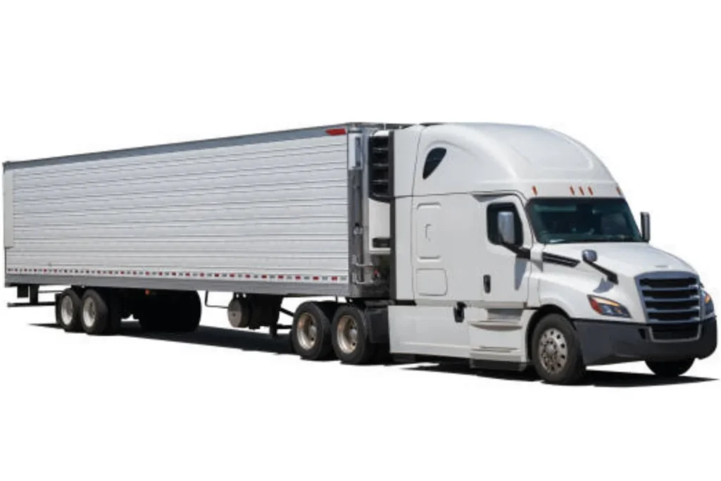 untitled design scaled